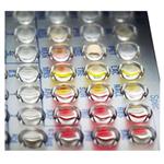 C42464 | PNL NEG MIC 56