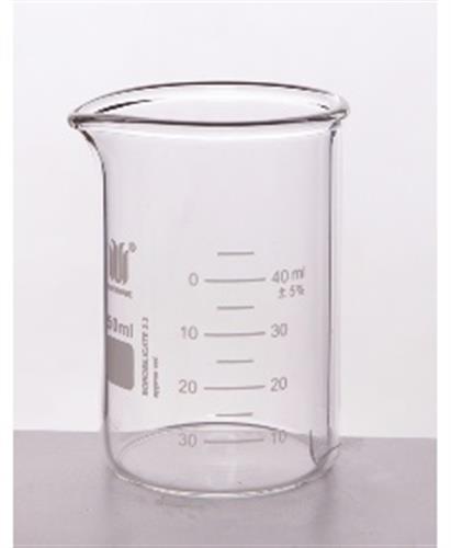 B200250 | Heavy Wall Beaker Low Form Dual Graduation 250mL
