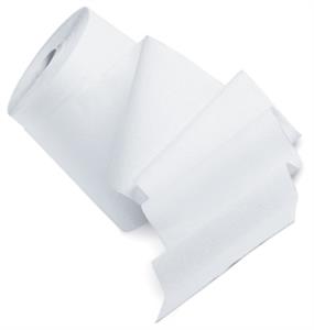 01080 | Scott Essential formerly Kleenex Hard Roll Paper T
