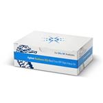 103591-100 | XFp Real Time ATP Rate Assay Kit