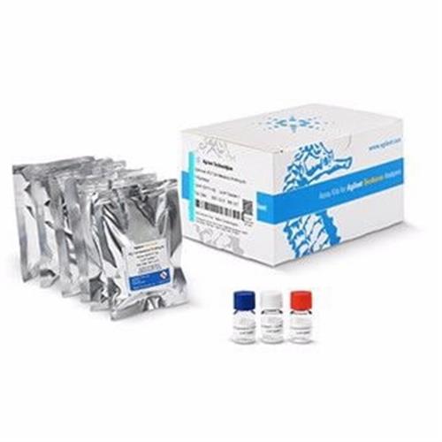 103771-100 | XFp T Cell Metabolic Profiling Kit