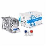 103771-100 | XFp T Cell Metabolic Profiling Kit