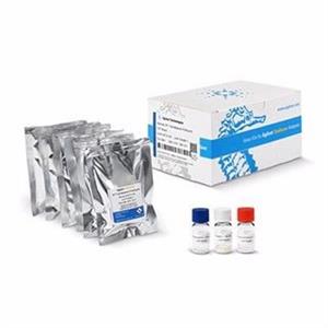 103772-100 | XF T Cell Metabolic Profiling Kit