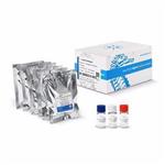 103772-100 | XF T Cell Metabolic Profiling Kit