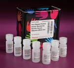 23208 | PRE DILUTED PROTEIN ASSAY STAN DARDS BOVINE SERUM