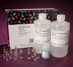 23225 | PIERCE BCA PROTEIN ASSAY KIT