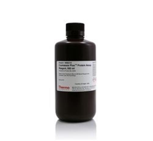 23238 | COOMASSIE PLUS THE BETTER BR ADFORD ASSAY
