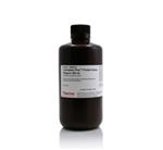 23238 | COOMASSIE PLUS THE BETTER BR ADFORD ASSAY