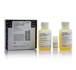 23280 | PIERCE QUANTITATIVE PEROXIDE ASSAY AQUEOUS COMPATI