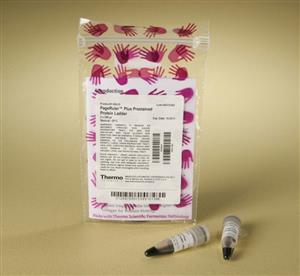 26619 | PAGERULER PLUS PRESTAINED PROTEIN LADDER 2 X 250 U