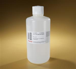 28363 | TRIS GLYCINE BUFFER 10X 1 L EA