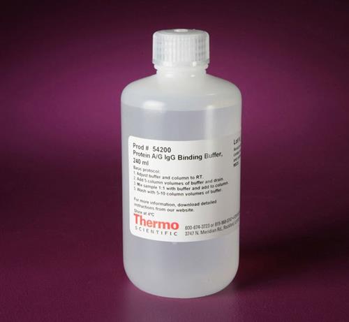 54200 | PROTEIN A G IGG BINDING BUFFER 240 ML.