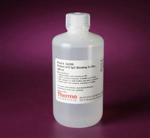 54200 | PROTEIN A G IGG BINDING BUFFER 240 ML.