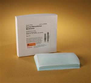77010 | PURE NITROCELLULOSE .45 MICRO N 8 X 12 CM 25 PKG.