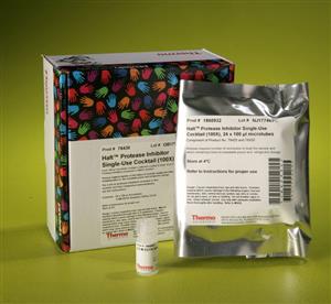 78430 | HALT PROTEASE INHIBITOR SINGLE USE COCKTAIL 100X