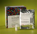 78430 | HALT PROTEASE INHIBITOR SINGLE USE COCKTAIL 100X