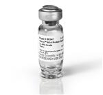 88341 | Pierce BSA Protein Digest MS grade