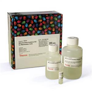 89874 | Mitochondria Isolation Kit for Cultured Cells