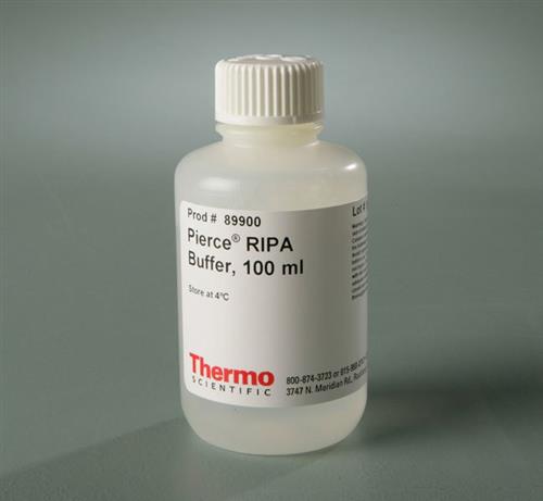 89900 | RIPA BUFFER 100 ML. EA