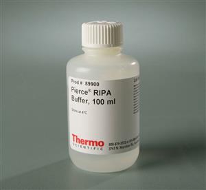 89900 | RIPA BUFFER 100 ML. EA