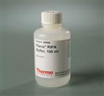 89900 | RIPA BUFFER 100 ML. EA