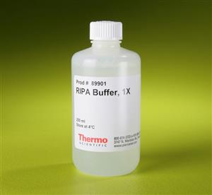 89901 | RIPA BUFFER 250 ML. EA