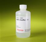 89901 | RIPA BUFFER 250 ML. EA