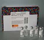 90058 | PIERCE TRYPSIN PROTEASE MS GRADE 5 X 100 UG