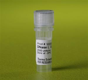 90083 | DNASE 1250 U 0.5 ML EA