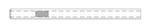 21004 | IGG ELUTION BUFFER 1 LITER EA