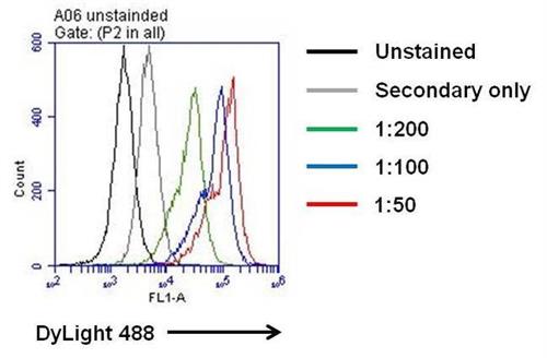 P620 | HUMAN IL 6 PAB 1 MG
