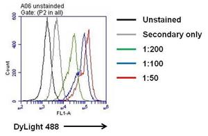 P620 | HUMAN IL 6 PAB 1 MG