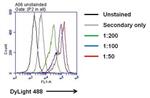 P620 | HUMAN IL 6 PAB 1 MG