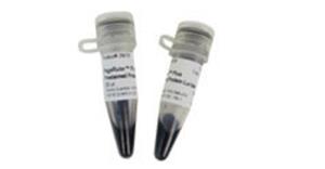 26620 | PAGERULER PLUS PRESTAINED PROTEIN LADDER 10 X 250