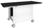 N0782060 | Instrument Bench 30 D x 35 W x 35 H for Avio 200 5