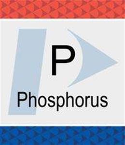 N9300139 | Phosphorus P Pure Standard 1 000 g mL H2O 500 mL