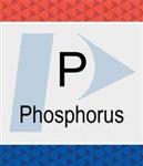 N9300139 | Phosphorus P Pure Standard 1 000 g mL H2O 500 mL