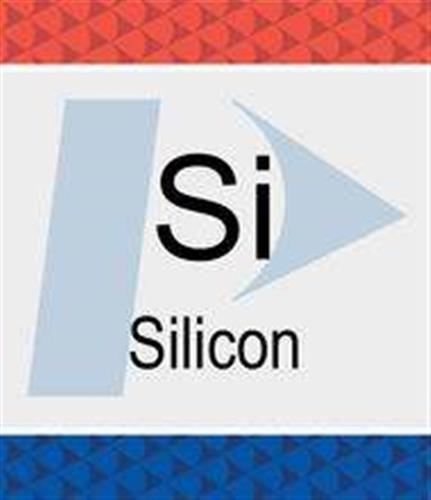 N9300150 | Silicon Si Pure Standard 1 000 g mL H2O 500 mL