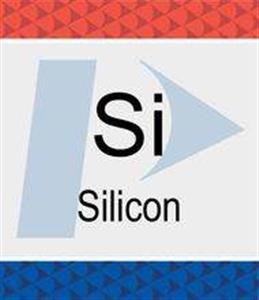 N9300150 | Silicon Si Pure Standard 1 000 g mL H2O 500 mL