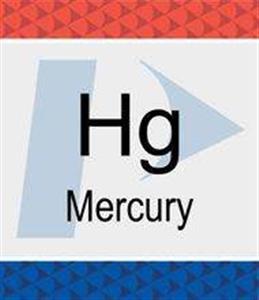 N9300174 | Mercury Hg Pure Standard 1 000 g mL 10 HNO3 125 mL