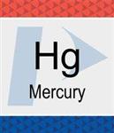 N9300174 | Mercury Hg Pure Standard 1 000 g mL 10 HNO3 125 mL