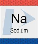 N9303785 | Sodium Na Pure Standard 1 000 g mL 2 HNO3 125 mL
