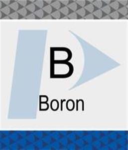 N9304210 | Boron B Pure Plus Standard 1 g mL H2O 125 mL