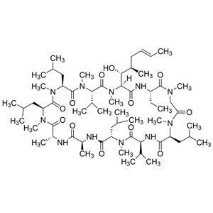 SM43-1000 | Cyclosporin A (CsA)