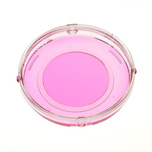 P50G-0-30-F.S | 50 mm Dish No. 0 Uncoated Coverslip 30 mm Glass Di
