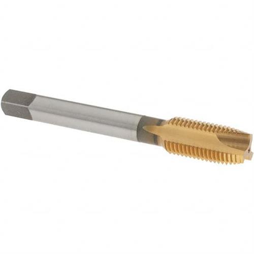 44159481 | HSS SP PT TAPS