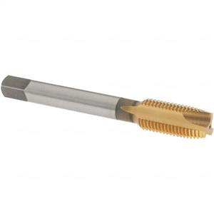 44159481 | HSS SP PT TAPS