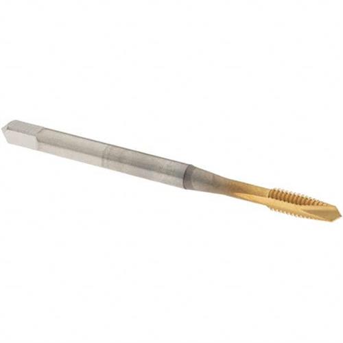 44160224 | HSS SP PT TAPS