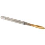 44160224 | HSS SP PT TAPS