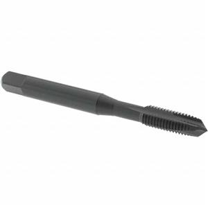 64046949 | HSS SP PT TAPS